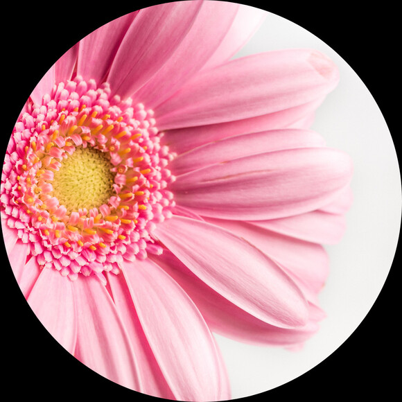 smallpetal